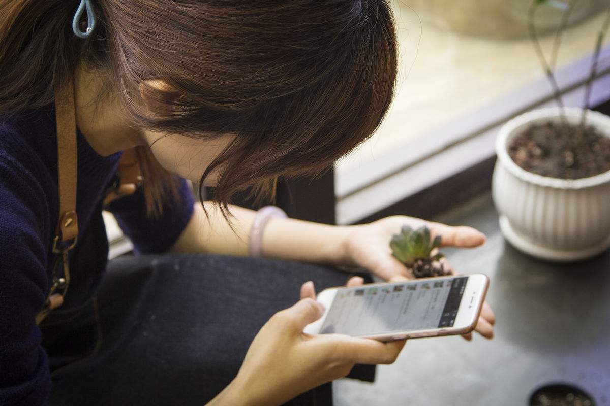 億方云v2手機端和PC端如何下載？