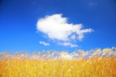 詳解億方云網盤功能，讓選擇不再困難插圖2